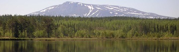 Kontakta Boka Härjedalen